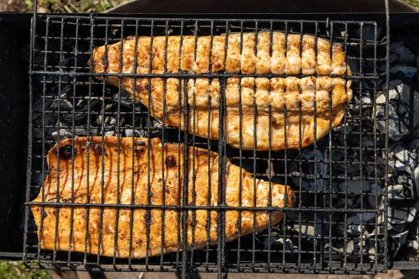 Red fish with spices cooked on the grill BBQ baked outdoors closeup — Stock Image Red fish with spices cooked on the grill BBQ baked outdoors closeup Stock Image