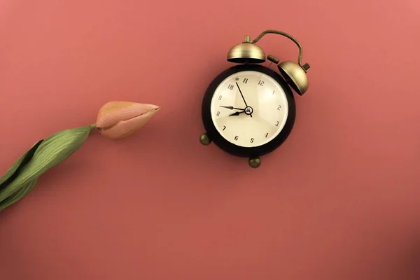 Reloj en la vista superior, fondo rosa con enfoque suave. minimalista , — Foto de Stock