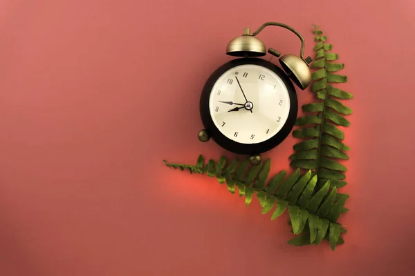 Horloge sur le dessus, fond rose avec mise au point douce. minimaliste , — Photo