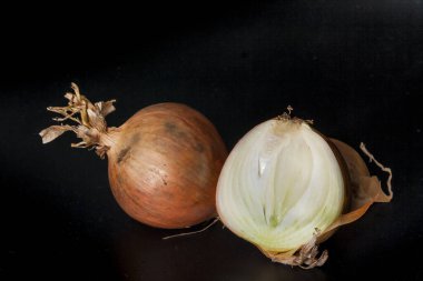 Hollanda Soğanları ve Galiç siyah arka planda.