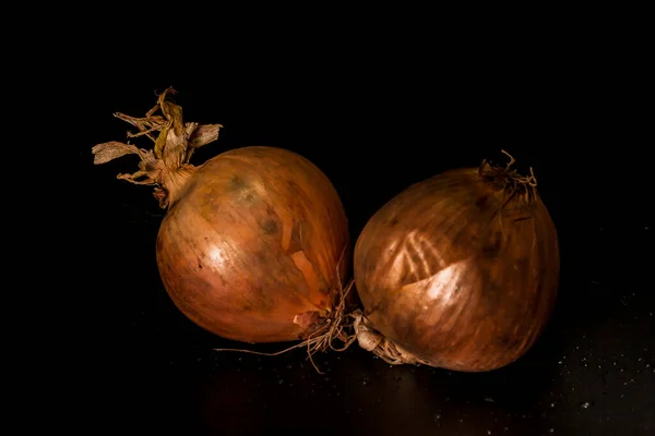 Holland Cebollas Sobre Fondo Negro —  Fotos de Stock