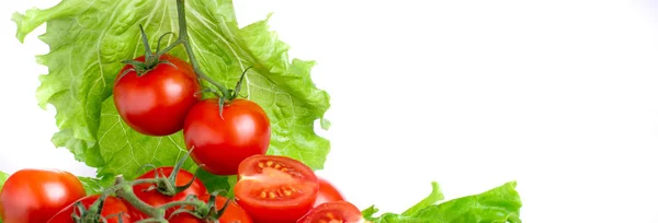 Pomidory Liśćmi Sałaty Białym Tle — Zdjęcie stockowe