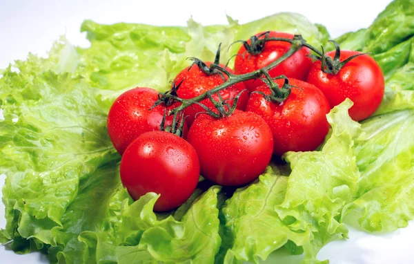Roșii Cherry Frunze Salată Verde Fundal Alb — Fotografie, imagine de stoc