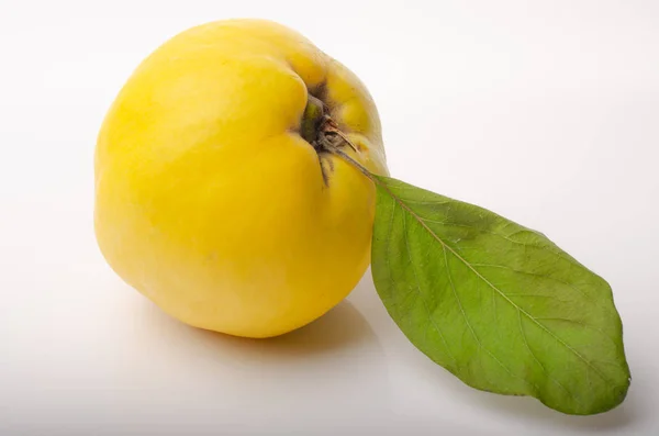 Fruit Kweepeer Peren Een Witte Achtergrond Met Ruimte Voor Inscripties — Stockfoto