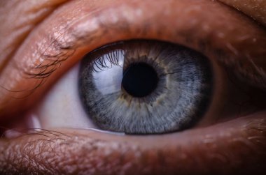 İnsan gözü öğrencisi. Mavi göz