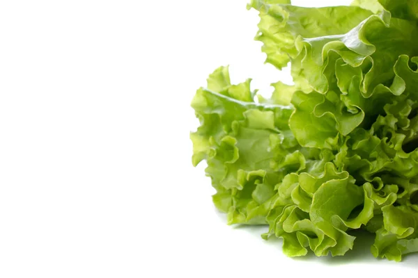 green lettuce leaves close up on a white isolated background