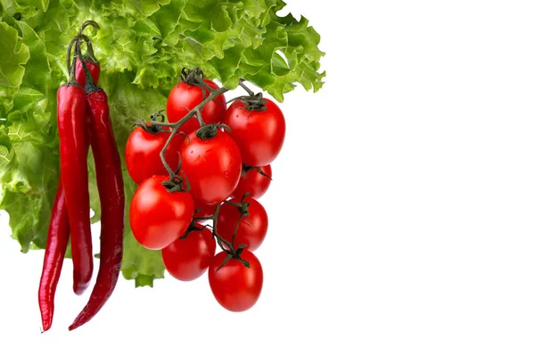 Вишневі помідори і купа червоного чилі на фоні зеленого листя салату, білий утеплений фон — стокове фото
