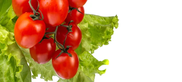 Tomates cereja contra o fundo de folhas de salada verde isolar — Fotografia de Stock