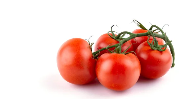 Reife Tomaten Auf Auslauf Weißer Isolierter Hintergrund Nahaufnahme Platz Für — Stockfoto