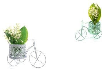 Zambakların çiçekleri beyaz izole bir arka planda dekoratif bir bisiklette, yazı için bir yer, yakın plan