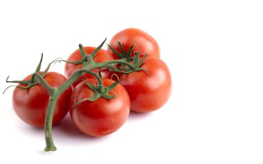 Sarmaşıkta olgun domatesler, beyaz yalıtılmış arka plan, yakın plan.