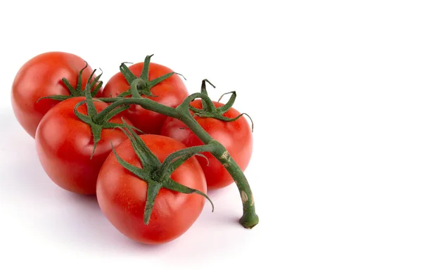 Reife Tomaten an der Rebe, weißer isolierter Hintergrund — Stockfoto
