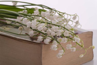 Eski kitap ve lily vadi çiçekler üzerinde beyaz backg izole