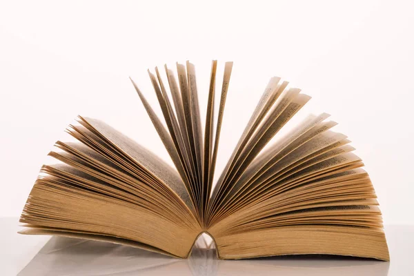 Beyaz arkaplanda izole edilmiş eski kitap