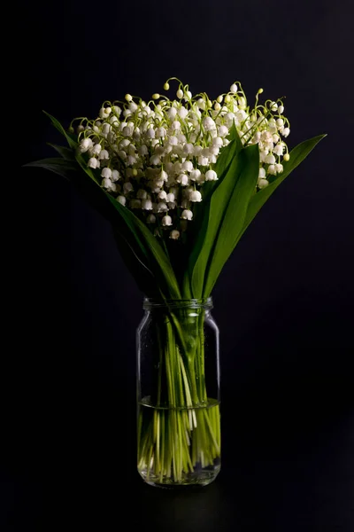 Bouquet of lilies of the valley in a jar with water on the black
