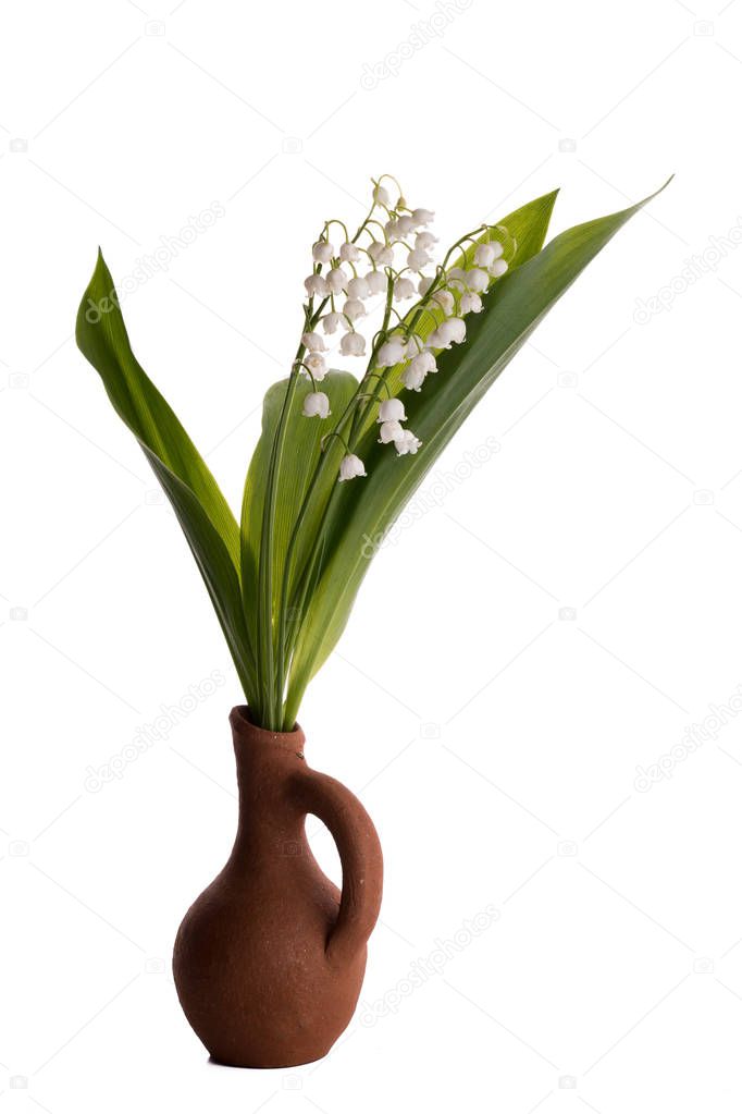 Pitcher with lily of the valley on the white background.