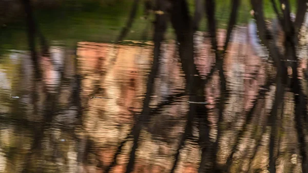 Reflexão de outono no lago — Fotografia de Stock