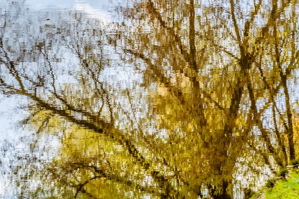 Осеннее отражение в озере — стоковое фото