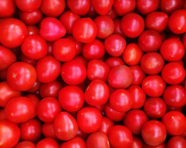 Kırmızı domates arka plan. Üstten Görünüm olgun domates. Organik bahçe sebze. Bahçede hasat. Sağlıklı gıda. Sağlıklı beslenme kavramı.