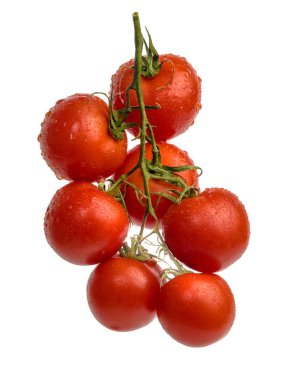 damla dalı ile domates.