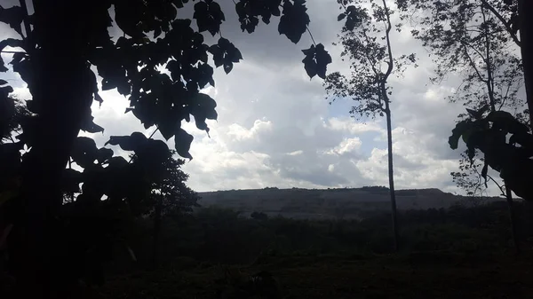 Beautiful Trees Skies Tarkwa Mines Ghana — Stock Photo, Image