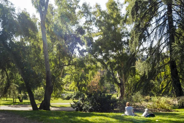 在西班牙马德里的东方公园 一个人享受着阳光灿烂的一天 — 图库照片