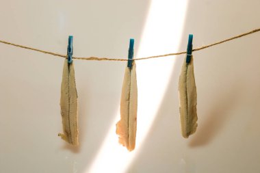 Sirkeli şarap, tipik aperatif..