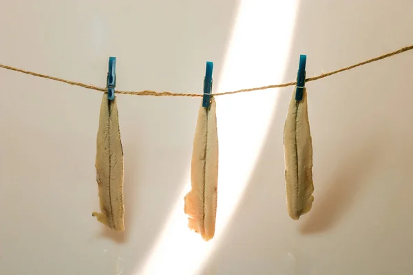 Boqueron en vinagre, aperitivo típico . — Foto de Stock