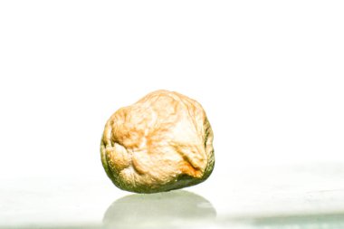 Garbanzo, Akdeniz Envir 'ine adapte olmuş bir çeşit baklagil.