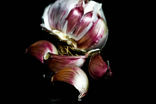 Tête Ail Pourpre Légume Aromatique Très Apprécié Dans Cuisine — Photo