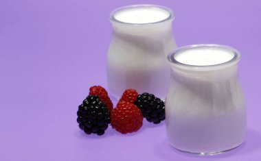 Doğal yoğurt küvetleri, inek sütünden elde edilir..