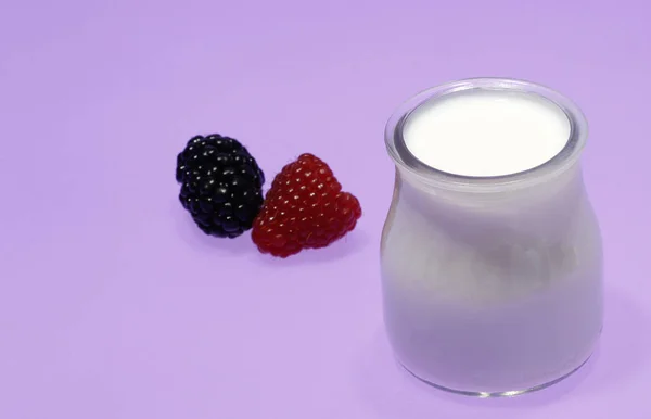 Baignoires de yaourt naturel, dérivées du lait de vache . — Photo