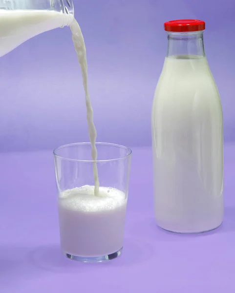 Bottle of milk, cow. — Stock Photo, Image