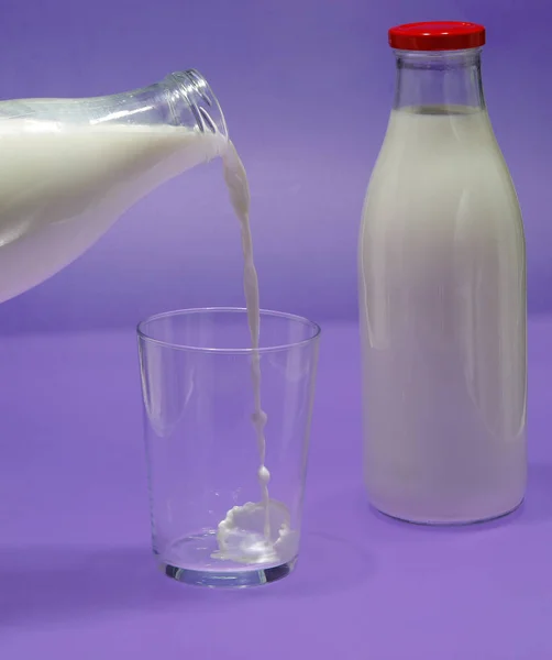 Bottle of milk, cow. — Stock Photo, Image