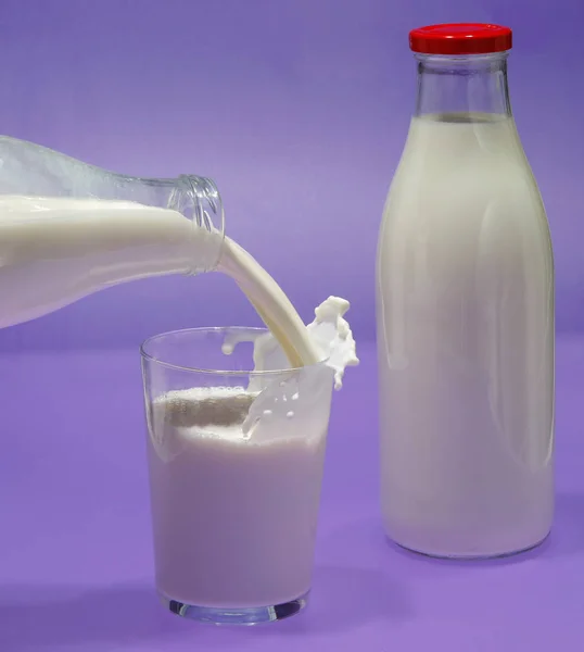 Fles melk, koe. — Stockfoto