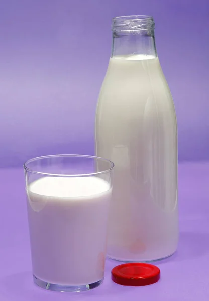 Bottle of milk, cow. — Stock Photo, Image