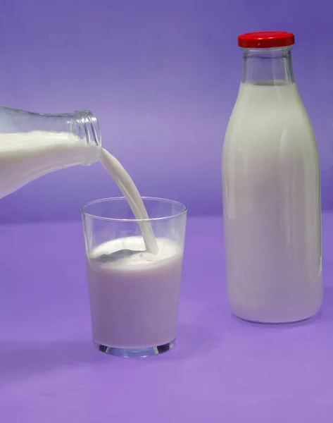 Μπουκάλι γάλα, αγελάδα. — Φωτογραφία Αρχείου