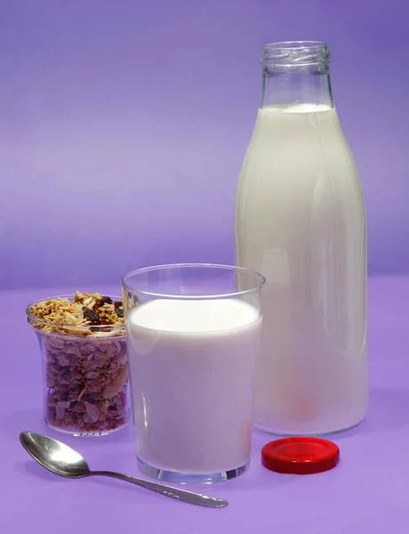 Flasche Milch, Kuh. — Stockfoto