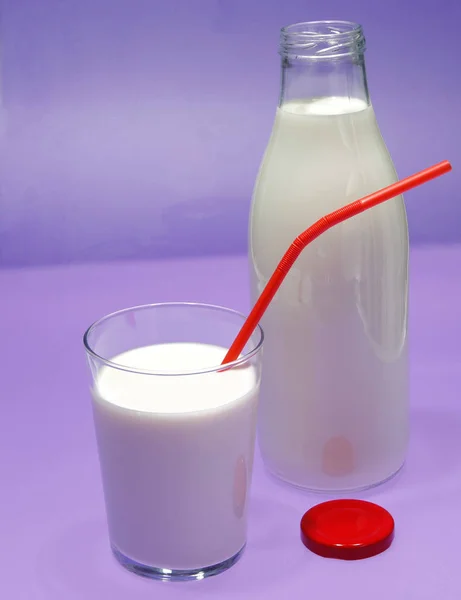 Μπουκάλι γάλα, αγελάδα. — Φωτογραφία Αρχείου