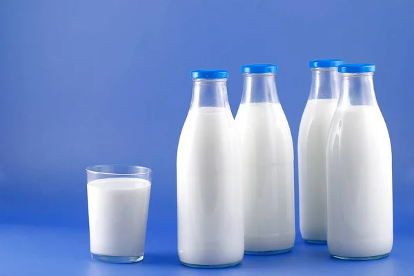 Flasche Milch, Kuh. — Stockfoto