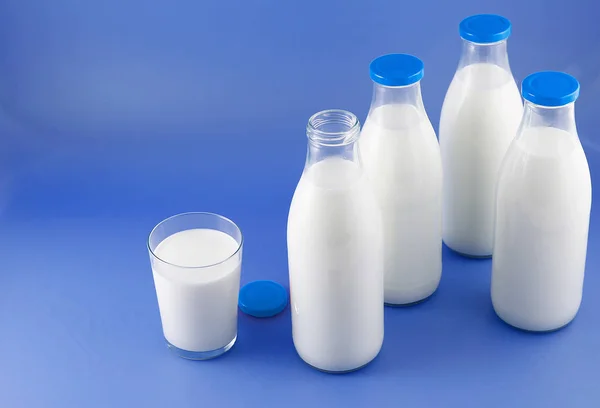 Botella de leche, vaca . —  Fotos de Stock