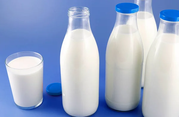 Botella de leche, vaca . — Foto de Stock