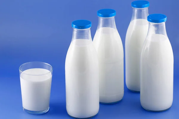 Fles melk, koe. — Stockfoto