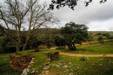 Montes de Toledo 'nun manzarası.