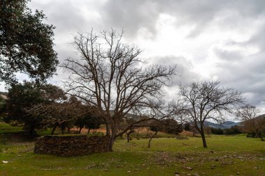 Montes de Toledo 'nun manzarası.
