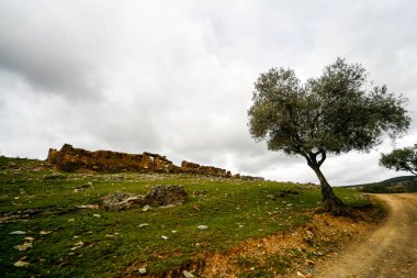 Montes de Toledo 'nun manzarası.