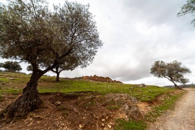 Montes de Toledo 'nun manzarası.