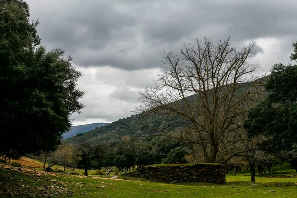 Paisaje de los Montes de Toledo . — Foto de Stock