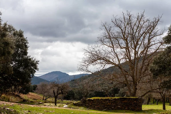 Landscape of the Montes de Toledo. — Stock Photo, Image