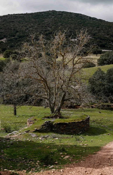 Krajobraz Montes de Toledo. — Zdjęcie stockowe